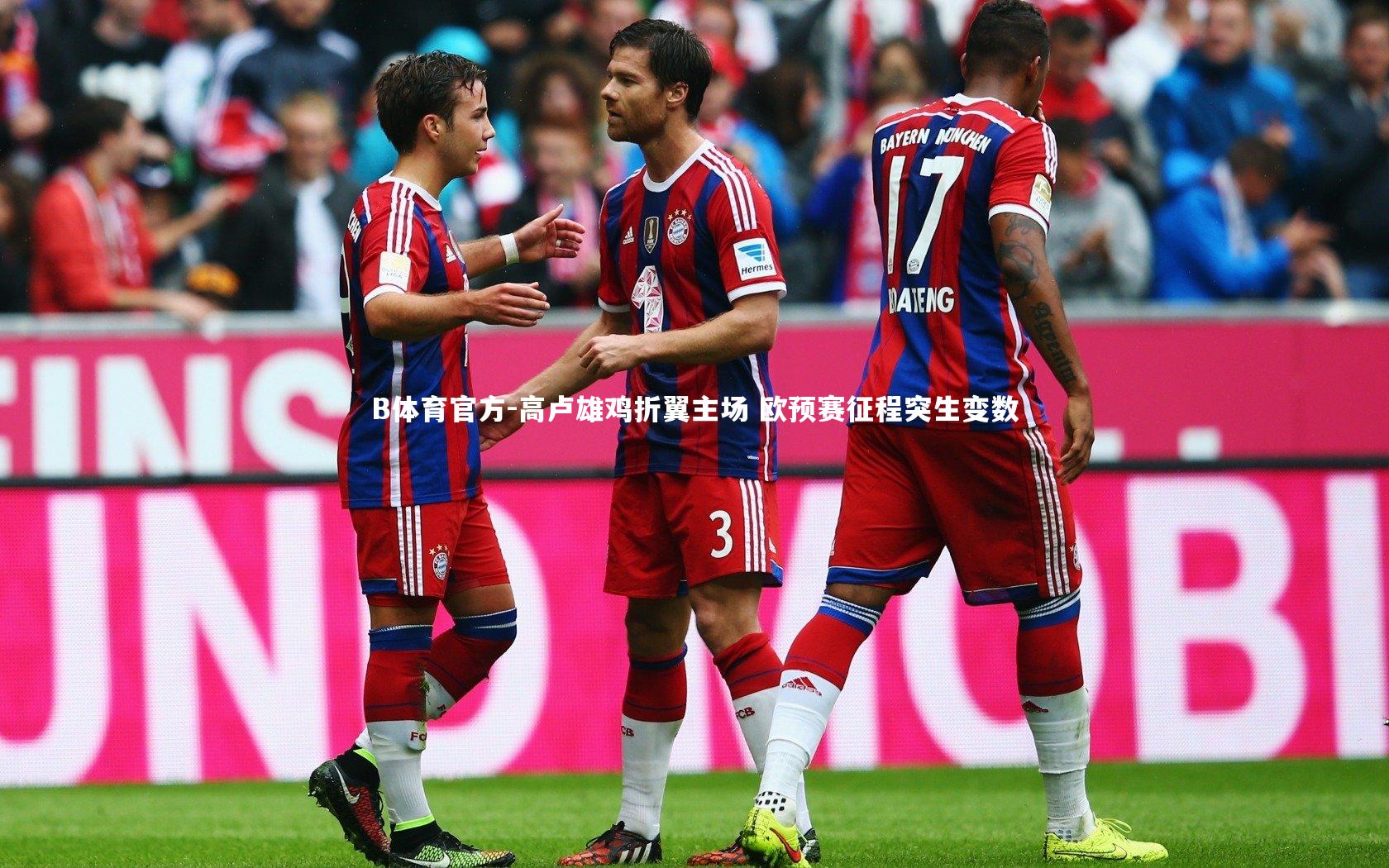 B体育官方-高卢雄鸡折翼主场 欧预赛征程突生变数